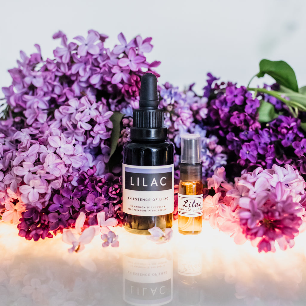 LIMITED: Essence of Lilac