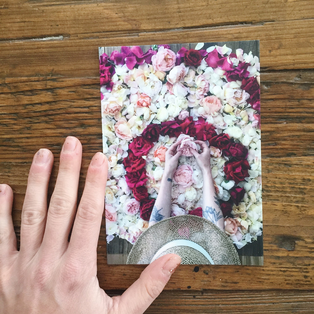 Rose Circles :: Beauty As a Way of Knowing
