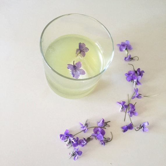 Detox Bitters: Cleansing Blend
