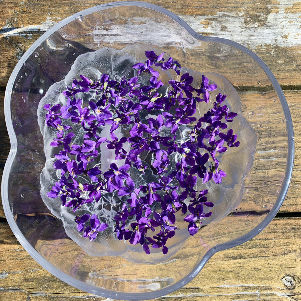 Essence of Violet