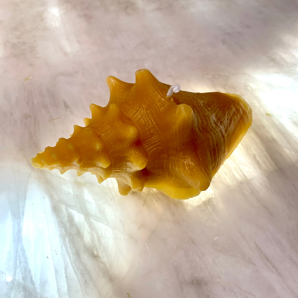 Beeswax Candles