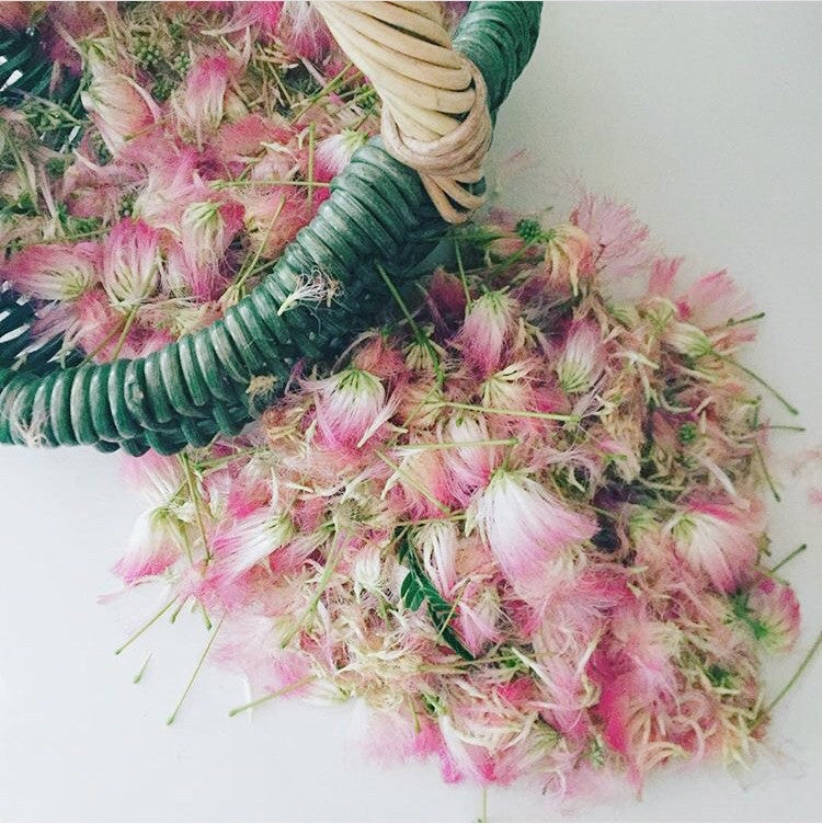In Joy: Tincture of The Flower of Collective Happiness
