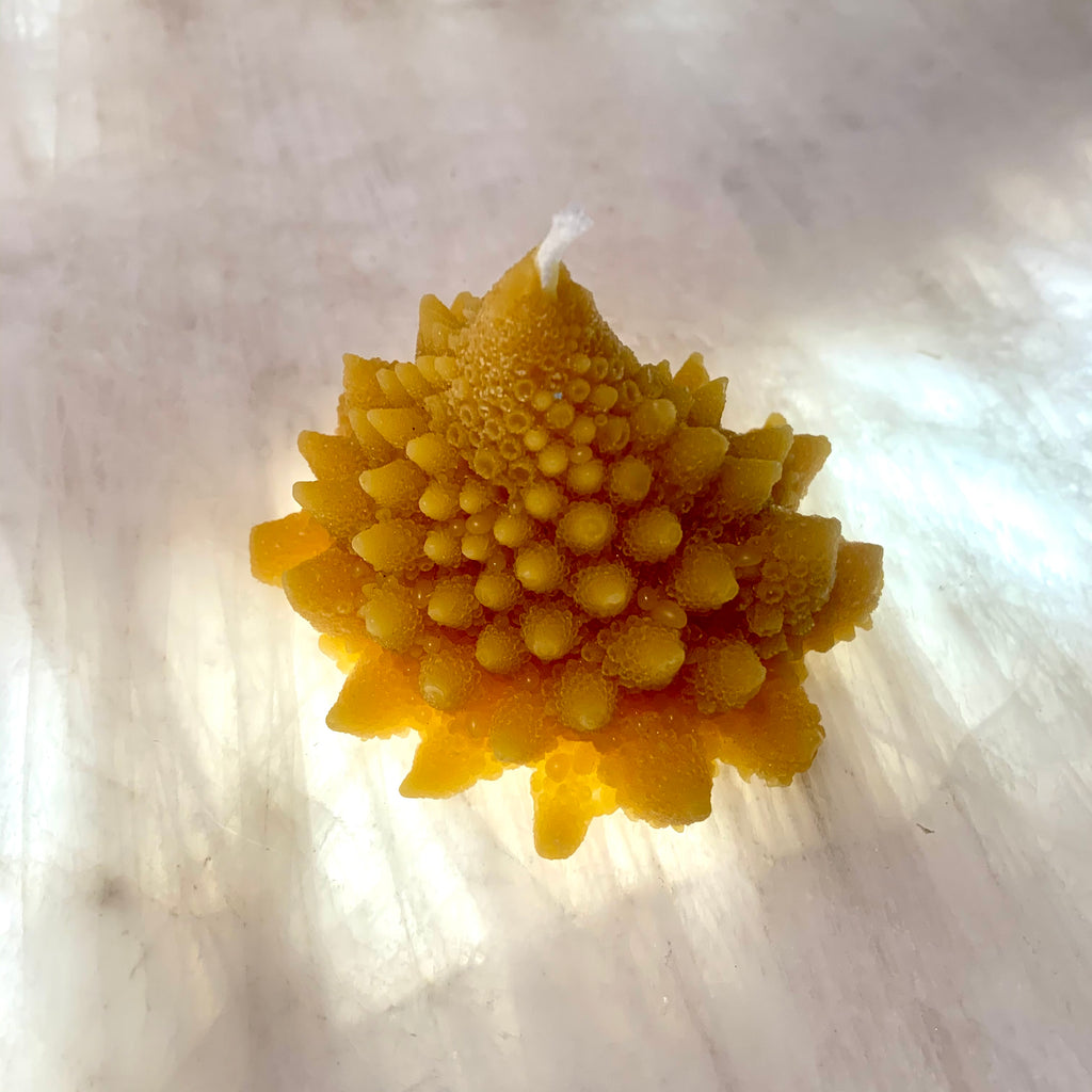 Beeswax Candles