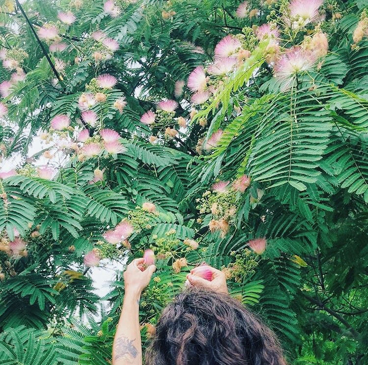 In Joy: Tincture of The Flower of Collective Happiness