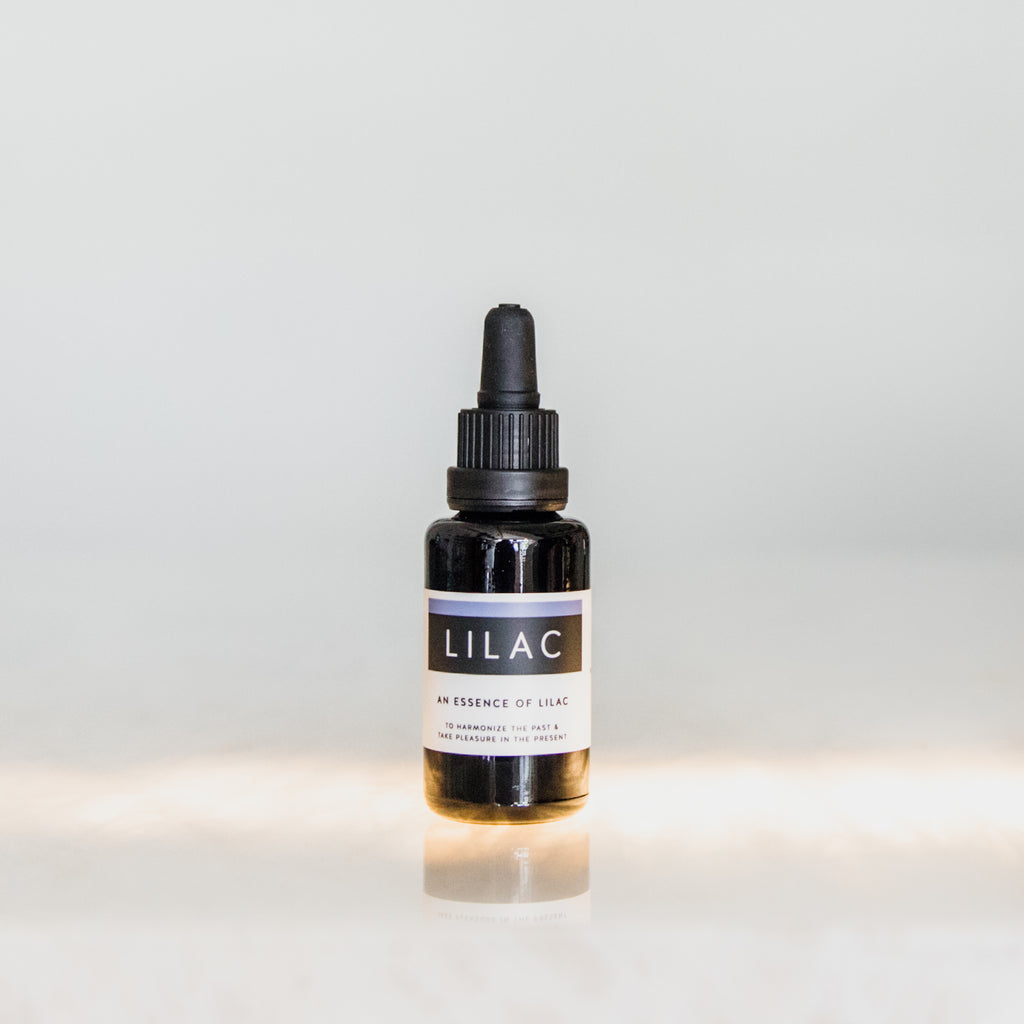 LIMITED: Essence of Lilac