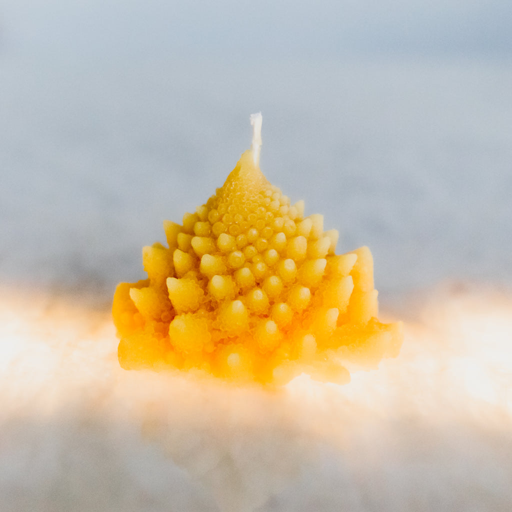 Beeswax Candles