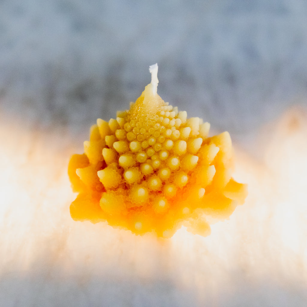 Beeswax Candles