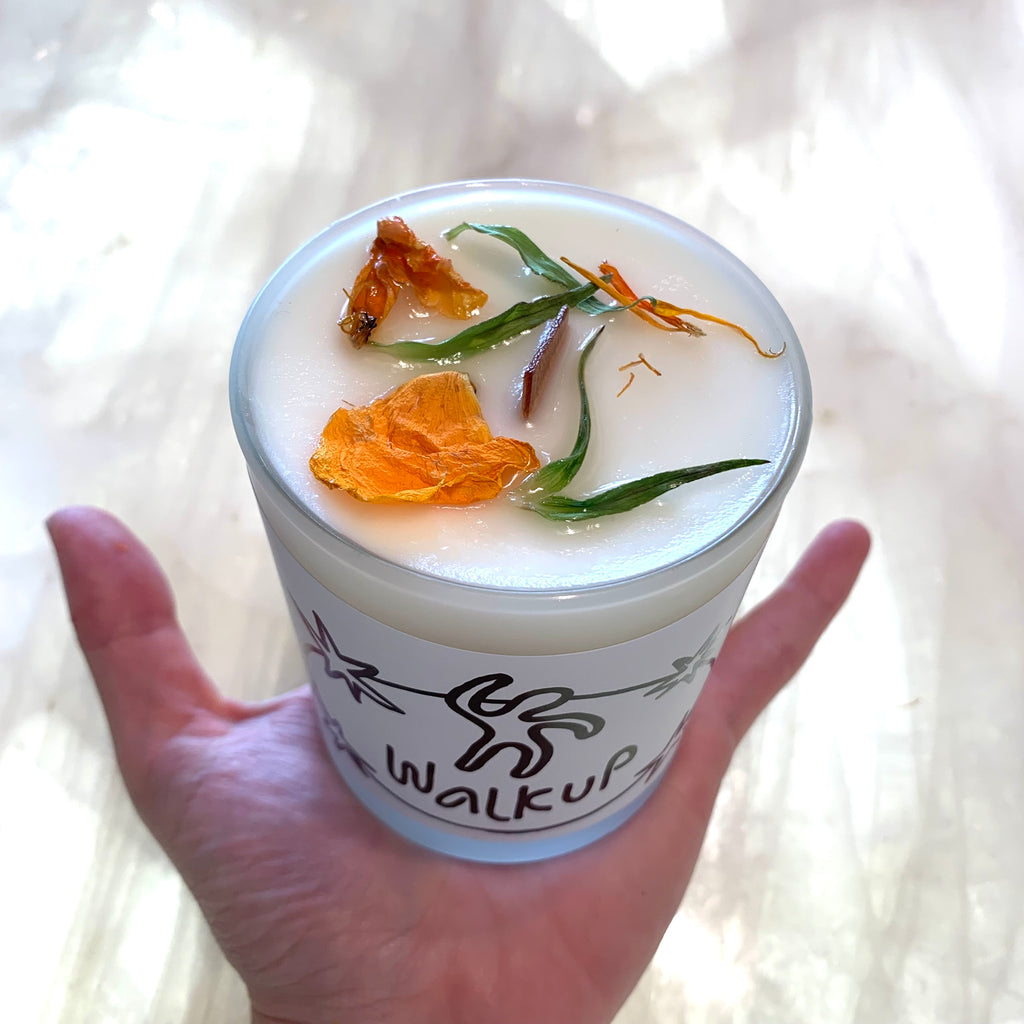 LIMITED: WALKUP Candle: Delightful and Bright